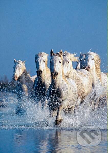 Horses - puzzle z kategorie Zvířata