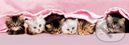 Kittens under blanket, Clementoni, 2013