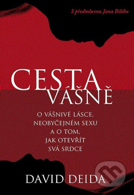 E-kniha: Cesta vášně (David Deida)