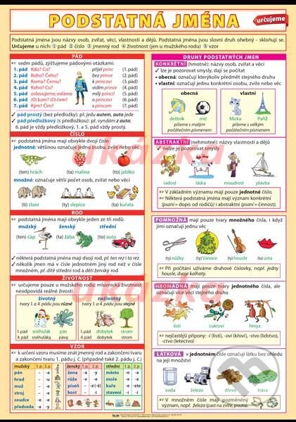 Podstatná jména - určujeme XL - Petr Kupka