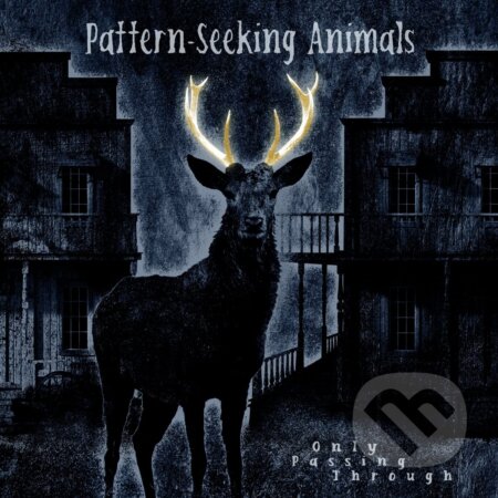 Pattern-Seeking Animals: Only Passing Through (HQ) LP - Pattern-Seeking Animals, Hudobné albumy, 2022