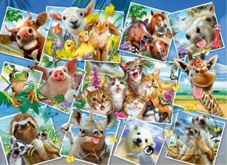 Zvířecí pohlednice 2v1, dřevěné - puzzle z kategorie Zvířata