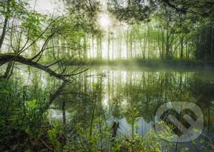 Stefan Hefele, Homeland jungle - puzzle z kategorie Přírodní scenérie