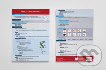 Přehled učiva prvouky II. - Přehledová tabulka učiva - kniha z kategorie 1. stupeň