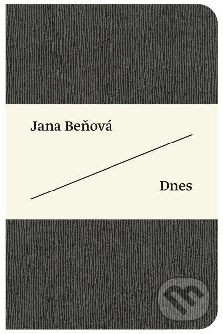 E-kniha: Dnes (Jana Beňová). Artforum, 2010