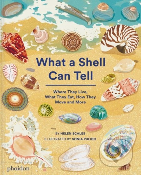 What A Shell Can Tell - Helen Scales, Sonia Pulido (ilustrátor), Phaidon, 2022