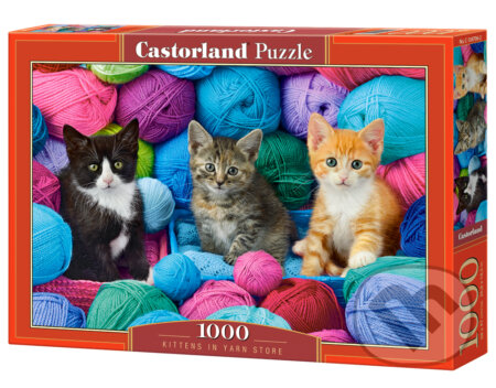 Kittens in Yarn Store, Castorland, 2022