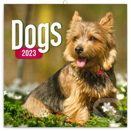 Poznámkový nástěnný kalendář Dogs 2023, Presco Group, 2022