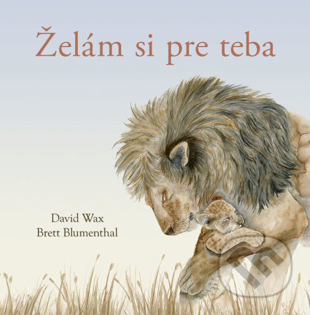 Želám si pre teba - David Wax, Brett Blumenthal - kniha z kategorie Beletrie pro děti