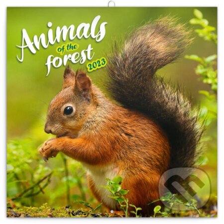Poznámkový nástěnný kalendář Animal of the forest 2023, Presco Group, 2022