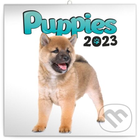 Poznámkový nástěnný kalendář Puppies 2023, Presco Group, 2022