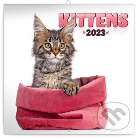 Poznámkový nástěnný kalendář Kittens 2023, Presco Group, 2022