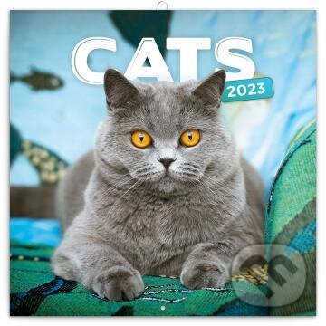 Poznámkový nástěnný kalendář Cats 2023, Presco Group, 2022