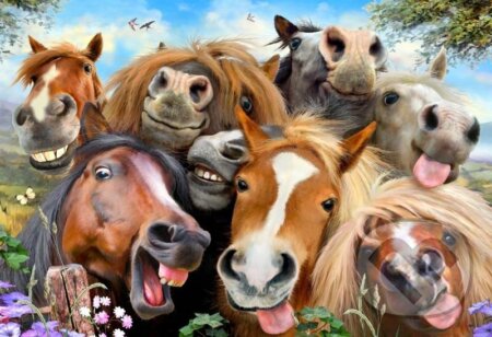 Koně všude kolem 2v1, dřevěné - puzzle z kategorie Zvířata