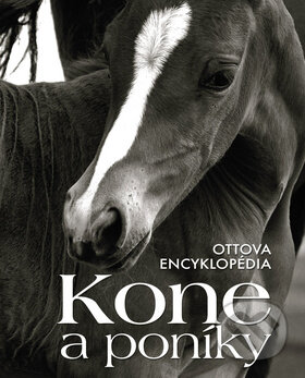 Kone a poníky, Ottovo nakladateľstvo, 2013