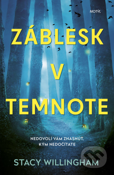 Záblesk v temnote - Stacy Willingham, Motýľ, 2022