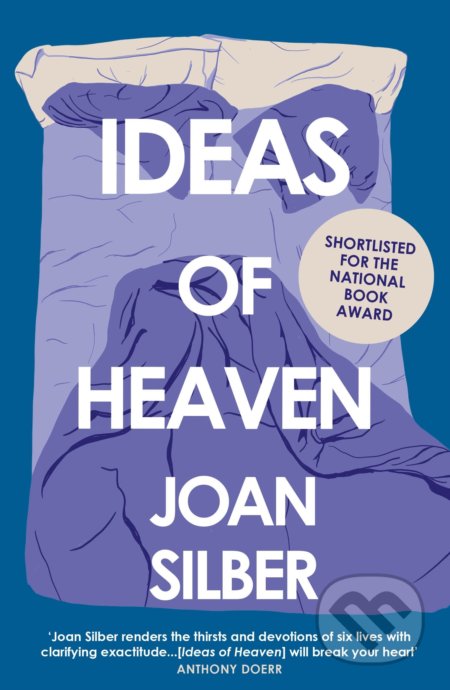 Ideas of Heaven - Joan Silber - kniha z kategorie Beletrie