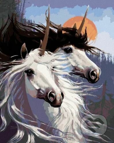 Malování podle čísel: Pár jednorožců Northern Promotions