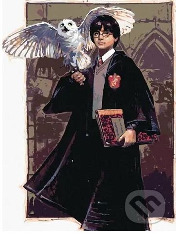 Malování podle čísel: Harry Potter - Harry a Hedvika v Bradavicích