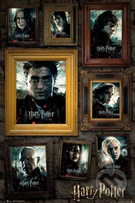Plagát Harry Potter: Portrait, Harry Potter, 2021