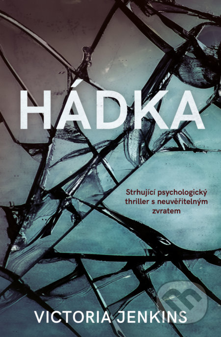 Hádka (Strhujíci psychologický thriller s neuveřitelným zvratem) - kniha z kategorie Thrillery