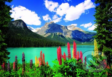 Emerald Lake of Canadian Rockies, Educa, 2014