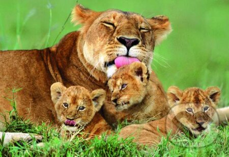 Lioness with her Cubs, Educa, 2014