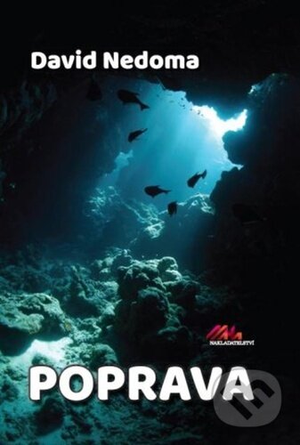 Poprava - David Nedoma - kniha z kategorie Thrillery