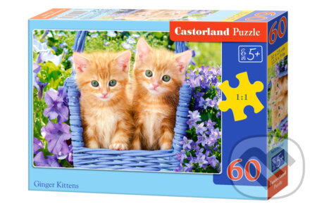 Ginger Kittens, Castorland, 2022