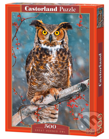 Great Horned Owl, Castorland, 2022