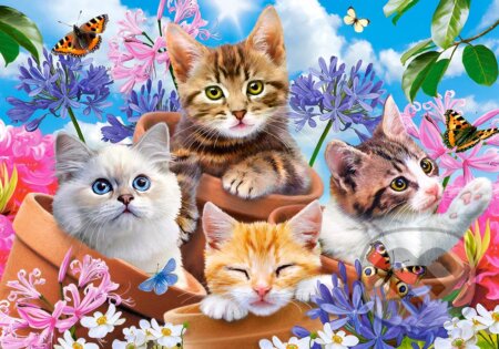 Kittens with Flowers, Castorland, 2022