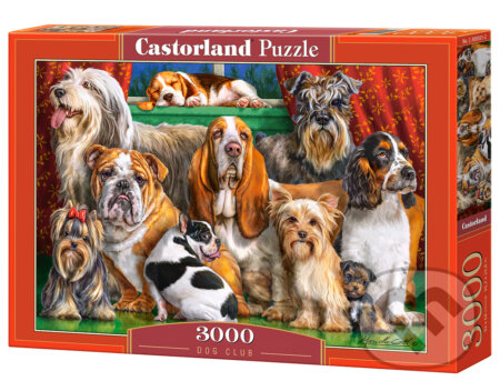 Dog Club, Castorland, 2022