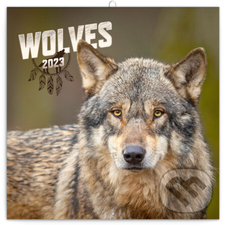 Poznámkový nástenný kalendár Wolves 2023 (západná verzia), Presco Group, 2022