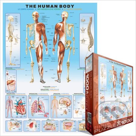 Lidské tělo, EuroGraphics, 2014