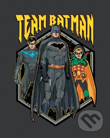 Malování podle čísel: Batman - Team (40 x 50 cm)