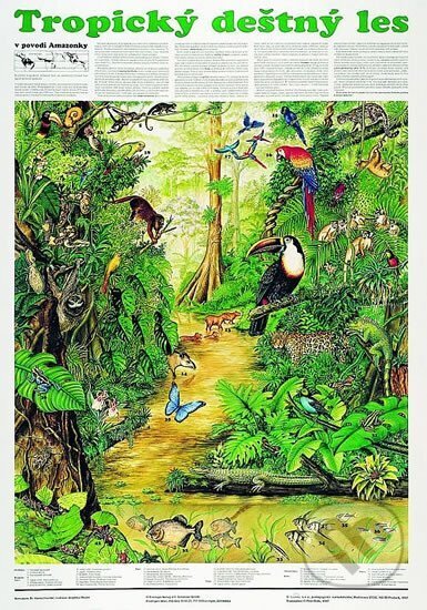 Plakát - Tropický deštný les, Scientia