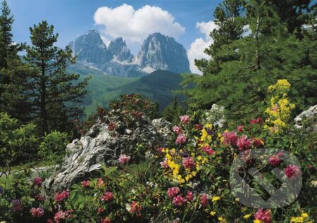 Sassolungo, Val Gardena, Clementoni, 2014