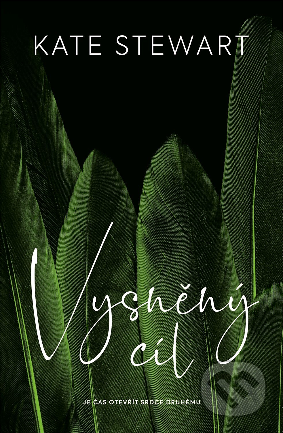 Vysněný cíl (Je čas otevřít srdce druhému) - Kate Stewart - kniha z kategorie Thrillery