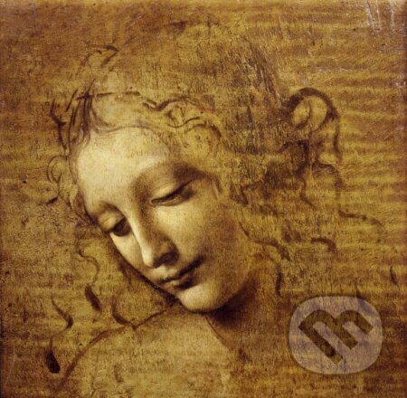 Leonardo da Vinci : The Face of Giovane Fanciulla, 1508, Grafika, 2023