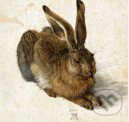 Albrecht Dürer - The Rabbit, 1502, Grafika, 2023