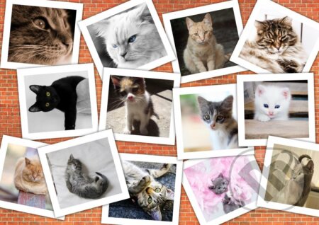 Cats - puzzle z kategorie Umělecké