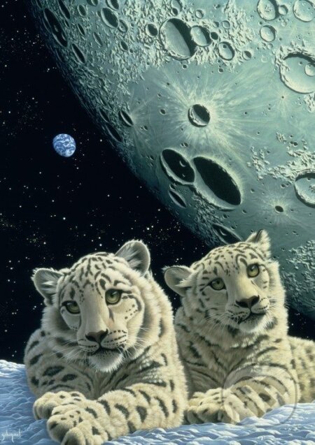 Schim Schimmel - Lair of the Snow Leopard, Grafika, 2023