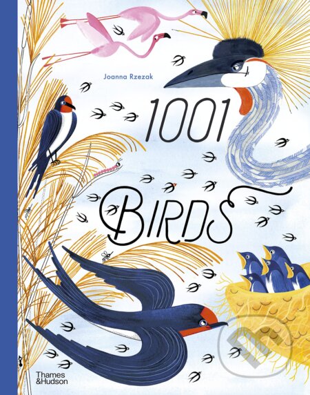 1001 Birds - Joanna Rzezak - kniha z kategorie Beletrie pro děti