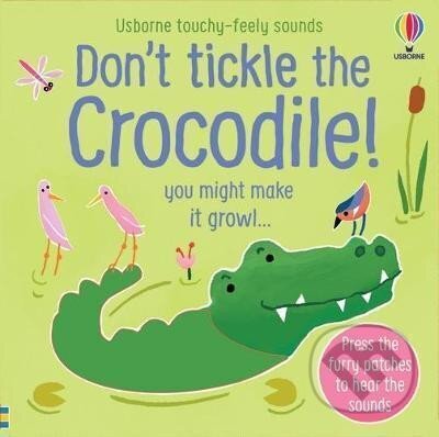 Don´t Tickle the Crocodile! - Sam Taplin, Ana Martin Larranaga (ilustrátor), Usborne, 2021