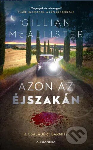 Kniha: Azon az éjszakán (Gillian McAllister). , 2023