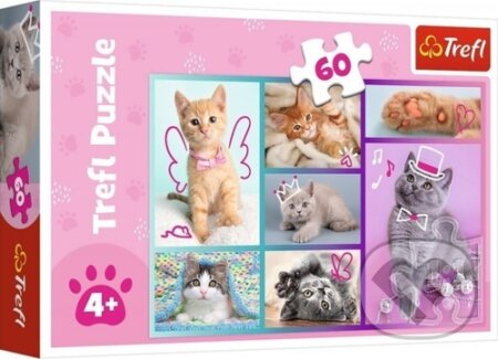 Roztomilá koťátka - puzzle z kategorie 15 - 60 dílků