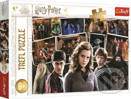 Harry Potter s přáteli
