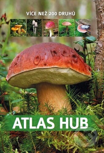 Atlas hub - Patrycja Zarawska, Bookmedia, 2023