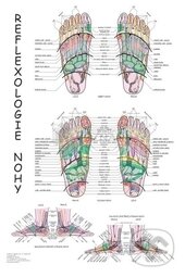 Reflexologie nohy (mapa) - Radomír Růžička, Poznání
