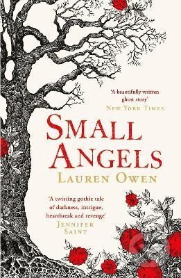 Small Angels (´A twisting gothic tale of darkness, intrigue, heartbreak and revenge´ Jennifer Saint) - kniha z kategorie Horory